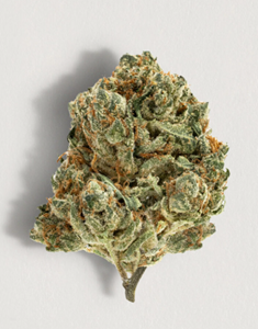 Pure Sunfarms - Alien Pebbles - 7g