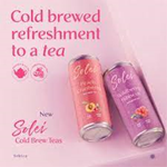 Solei - Wildberry Hibiscus Cold Brew Tea 1:2 CBD